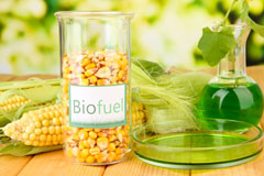 Llangernyw biofuel availability